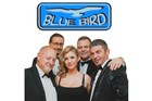 zespół weselny BLUE BIRD (3)