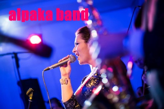 zespół weselny Alpaka Band